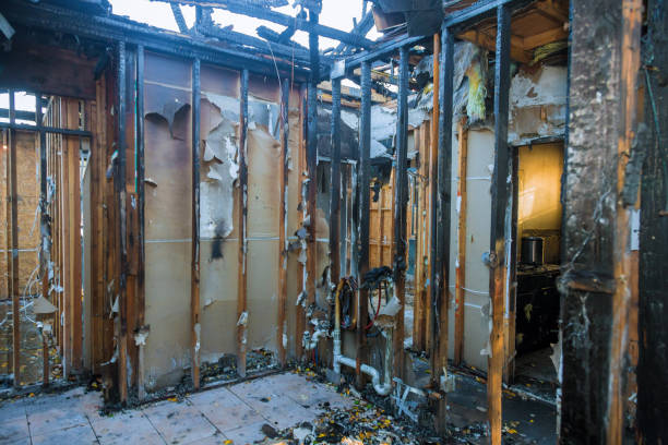 Professional Fire Damage Removal technician working in Lakehills, TX